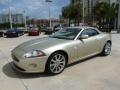  2007 Jaguar XK Winter Gold Metallic #4