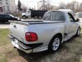  2000 Ford F150 Silver Metallic #8
