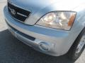 2006 Sorento LX 4x4 #32 2006 Sorento LX 4x4 #32