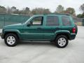  2004 Jeep Liberty Timberline Green Pearl #6