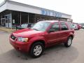 2007 Escape Limited #1 2007 Escape Limited #1