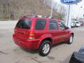 2007 Escape Limited #6 2007 Escape Limited #6