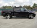 2007 Ford F150 Dark Amethyst #2 2007 Ford F150 Dark Amethyst #2