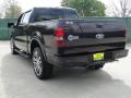 2007 F150 Harley-Davidson SuperCrew #5 2007 F150 Harley-Davidson SuperCrew #5