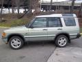  2002 Land Rover Discovery II Vienna Green Pearl #2