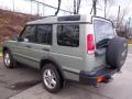  2002 Land Rover Discovery II Vienna Green Pearl #5