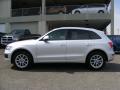  2009 Audi Q5 Ice Silver Metallic #8