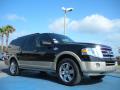 Front 3/4 View of 2010 Ford Expedition EL King Ranch #7