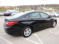  2011 Hyundai Sonata Midnight Black #5