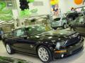 2008 Mustang Shelby GT500KR Coupe #2 2008 Mustang Shelby GT500KR Coupe #2