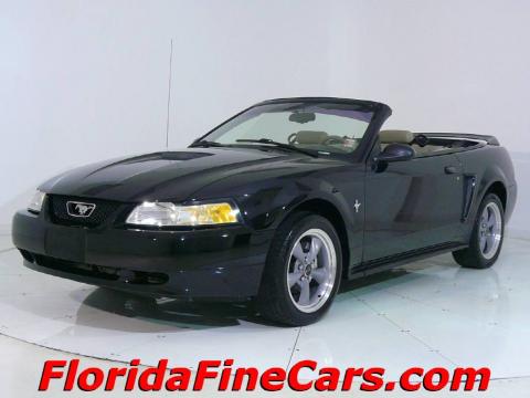 Black Ford Mustang V6 Convertible.  Click to enlarge.