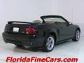 2000 Mustang V6 Convertible #2
