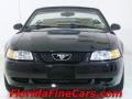 2000 Mustang V6 Convertible #5