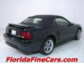2000 Mustang V6 Convertible #7
