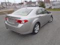  2010 Acura TSX Palladium Metallic #3