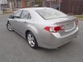  2010 Acura TSX Palladium Metallic #4