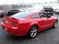 2007 Mustang GT Premium Coupe #6 2007 Mustang GT Premium Coupe #6