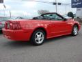 2003 Mustang V6 Convertible #4