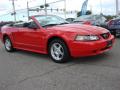 2003 Mustang V6 Convertible #6