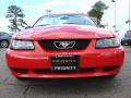 2003 Mustang V6 Convertible #7