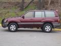 1998 Land Cruiser  #3