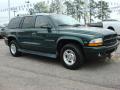2000 Durango SLT #6