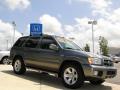 2004 Pathfinder LE Platinum #2