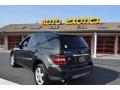 2007 ML 350 4Matic #4