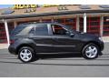 2007 ML 350 4Matic #34