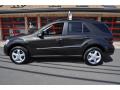  2007 Mercedes-Benz ML Verde Brook Metallic #35