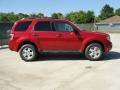2011 Escape XLT #2