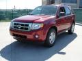 2011 Escape XLT #7