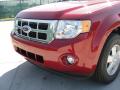 2011 Escape XLT #10