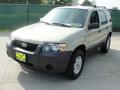 2005 Escape XLS #7