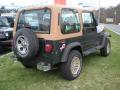 1995 Wrangler S 4x4 #5