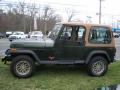 1995 Wrangler S 4x4 #8