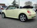 2006 New Beetle 2.5 Convertible #5