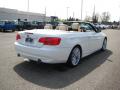 2011 3 Series 335i Convertible #5