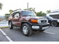 2008 FJ Cruiser  #2