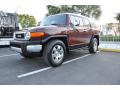  2008 Toyota FJ Cruiser Brick Red #19