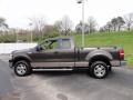  2005 Ford F150 Dark Stone Metallic #11
