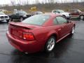  2004 Ford Mustang Redfire Metallic #2