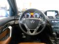  2010 Acura MDX Advance Steering Wheel #18