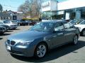 2009 5 Series 528i Sedan #1