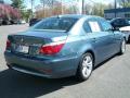 2009 5 Series 528i Sedan #5