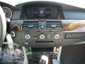2009 5 Series 528i Sedan #19