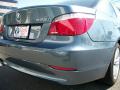 2009 5 Series 528i Sedan #23