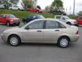  2007 Ford Focus Pueblo Gold Metallic #1