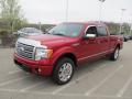 2010 F150 Platinum SuperCrew 4x4 #5