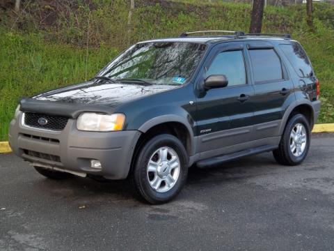 Dark Highland Green Metallic Ford Escape XLT V6 4WD.  Click to enlarge.